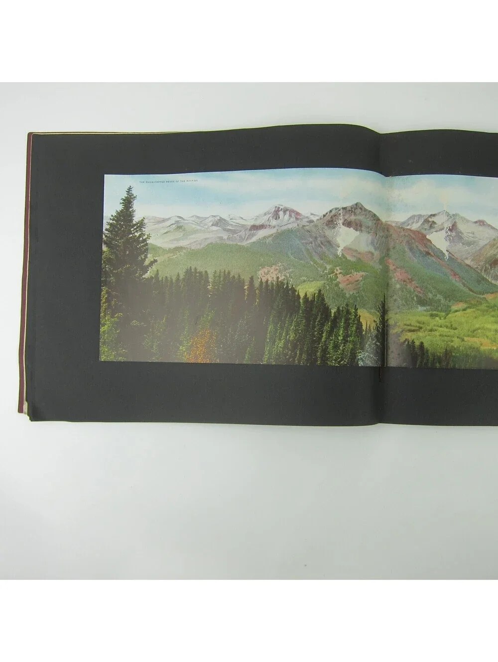 Antique 1914 Book Colorado Rocky Mountain Views on the Rio Grande Railroad Train